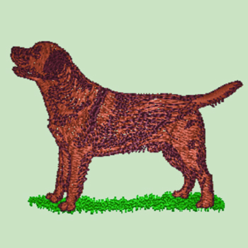 Brown/Chocolate Labrador (WD129C) - Click Image to Close